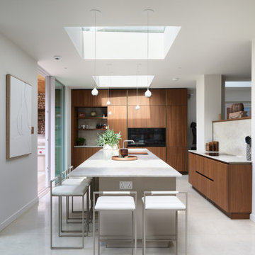 Contemporary Home Renovation in London