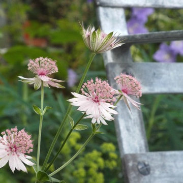Georgian townhouse garden