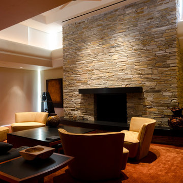 Modern Transitional Living Room