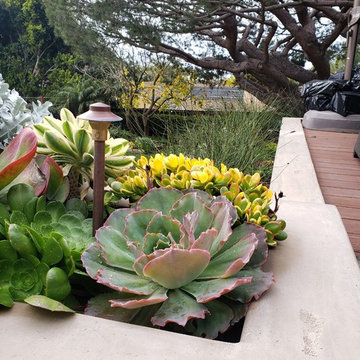 Encinitas Residence