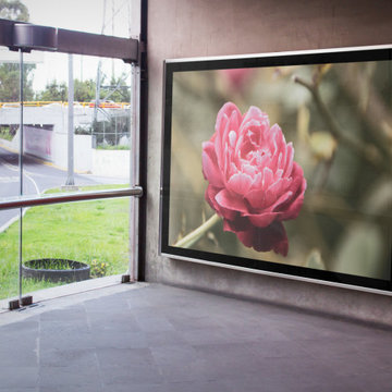 Custom Backlit Floral Wall Art Print on Glass