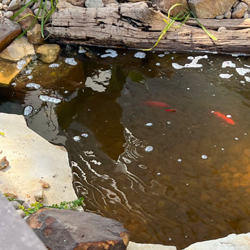 Terpin Turtle Pond