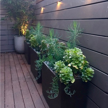 Telegraph Hill Respite