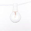 Global String Lights 50ft / 50 lights White cord With clear Bulb