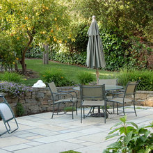 Slopped yard (close to the house)