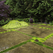 landscapin