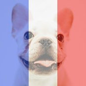 Terrence Chen's photo