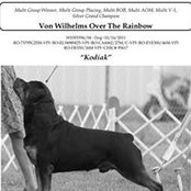 Donna McLaughlin's photo