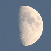 Foto von Jane Hedley