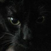 Lonna Bishops foto