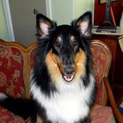 Claudia Kerens's photo