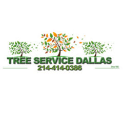 Tree Service Dallas