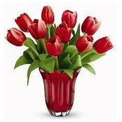 Bonnie Timmons's photo
