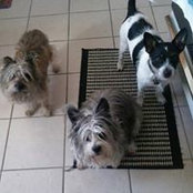 Foto von Myra Nuckols