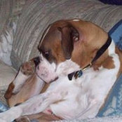 Jeni Ryder-Headings's photo