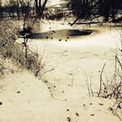 Mary Pollard's photo
