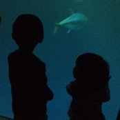 Christine Shih's photo