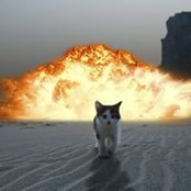 Foto von Kat Walsh