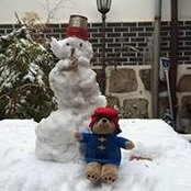 Terrence XiYing's photo