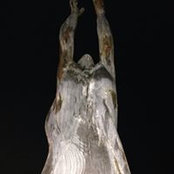 Jimi Sealy's photo