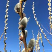Foto von Agnes Baraz