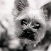 Anissa Runde's photo