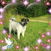 Foto von Corinna Wege