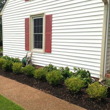 Formal Planting: Korean Boxwood and Blue Hydrangeas