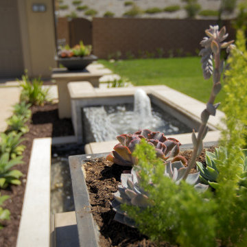 Planting Close up