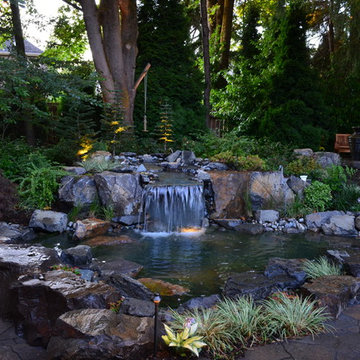 Backyard Oasis