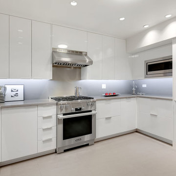 Minimalist Kitchen & Contemporary Master Bath in Chicago