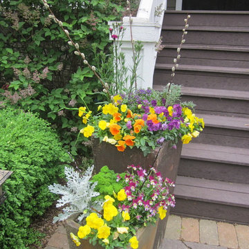 Annual Displays