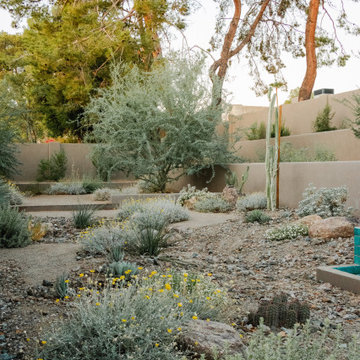 Desert Vista