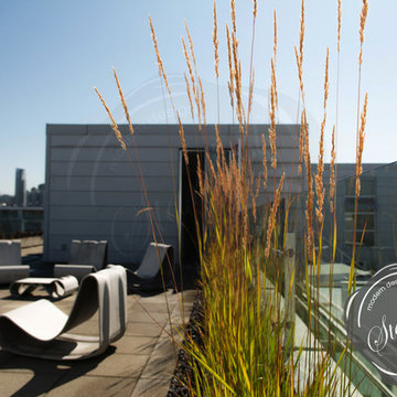Contemporary Modern Rooftop Garden Design with Modern Outdoor Chairs