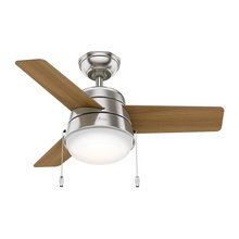 Ceiling fans