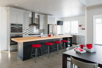 Kitchen - transitional kitchen idea in Other