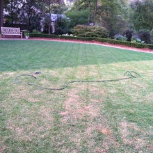 Coloring Mulch And Pine Straw !