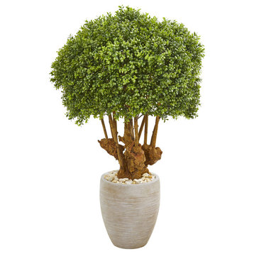 41" Boxwood Artificial Topiary Tree in Sandstone Planter, Indoor/Outdoor