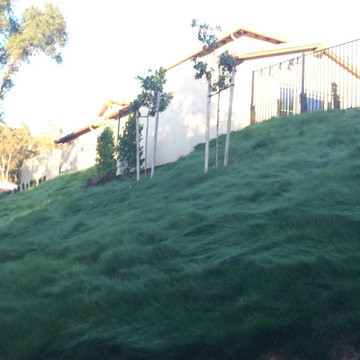 El Dorado Hills - Serrano Complete Landscape