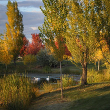 Eagle, Idaho Subdivision in the Fall
