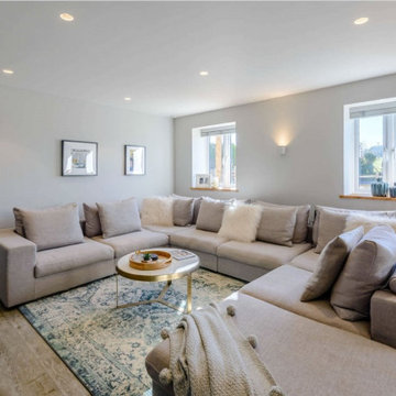 Living room with barn door