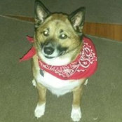 Christina Rybacki's photo