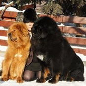 Photo de Irina Halenko