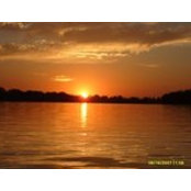 Alicia Yielding's photo