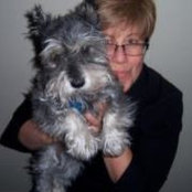 Sarah Beise's photo