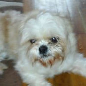 Heather Concannon's photo