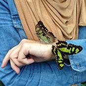 Danielle LoDuca's photo