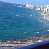 Riham Abdallah's photo