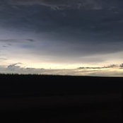 Joyce Jensen's photo