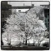 Marti Roveda's photo